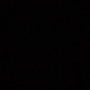 Meet your Posher, Zach